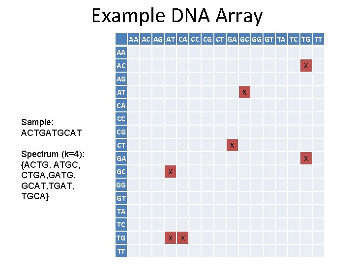 Example DNA Array AA AC AG AT CA CC CG CT GA GC GG