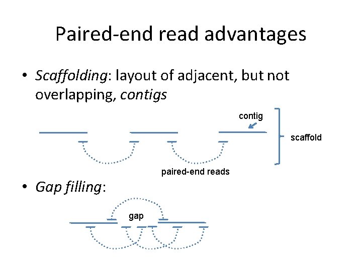 Paired-end read advantages • Scaffolding: layout of adjacent, but not overlapping, contigs contig scaffold