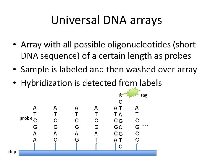 Universal DNA arrays • Array with all possible oligonucleotides (short DNA sequence) of a