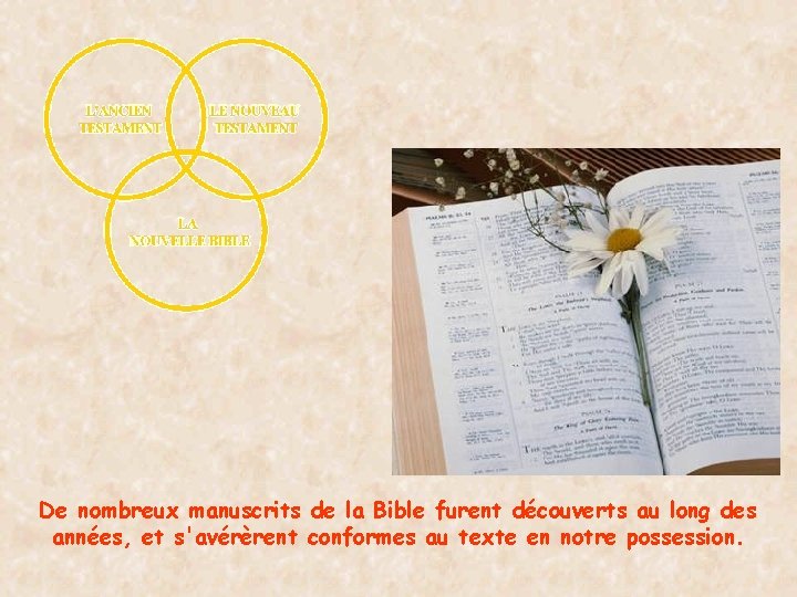 De nombreux manuscrits de la Bible furent découverts au long des années, et s'avérèrent