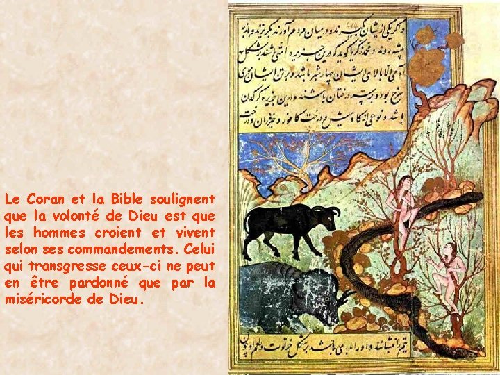 Le Coran et la Bible soulignent que la volonté de Dieu est que les