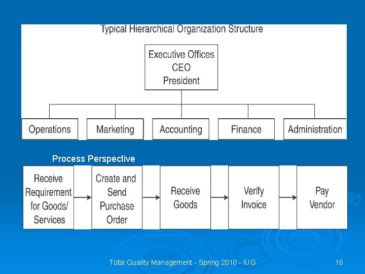 Process Perspective Total Quality Management - Spring 2010 - IUG 16 