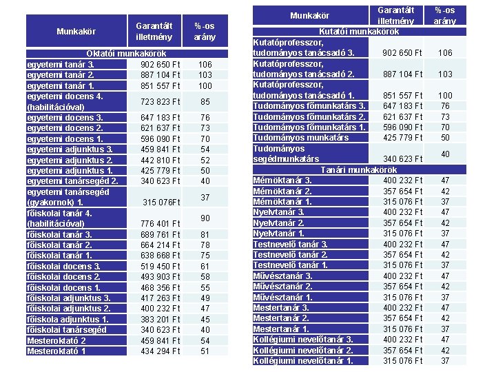Garantált %-os illetmény arány Kutatói munkakörök Kutatóprofesszor, tudományos tanácsadó 3. 902 650 Ft 106