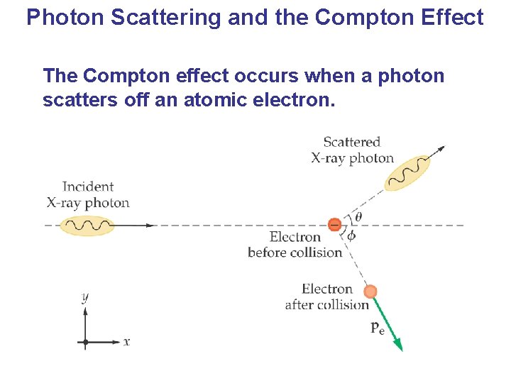 Photon Scattering and the Compton Effect The Compton effect occurs when a photon scatters