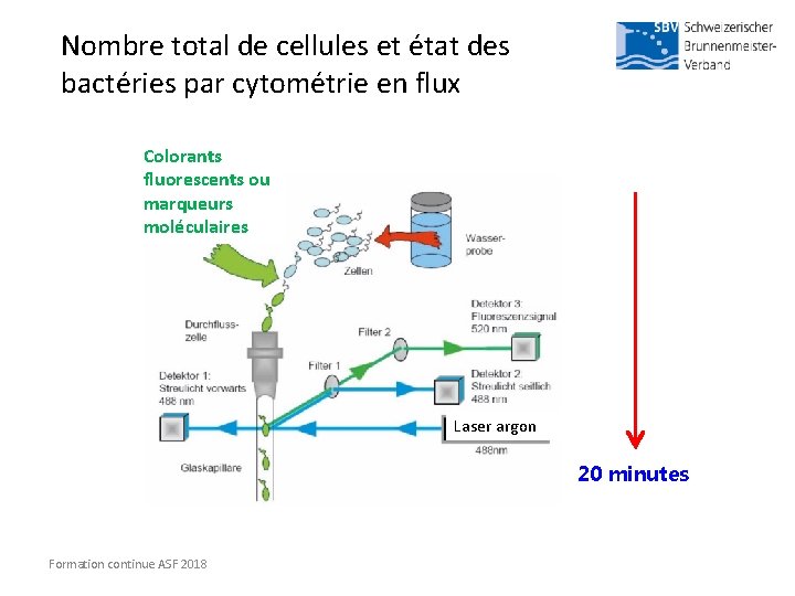 Nombre total de cellules et état des bactéries par cytométrie en flux Colorants fluorescents