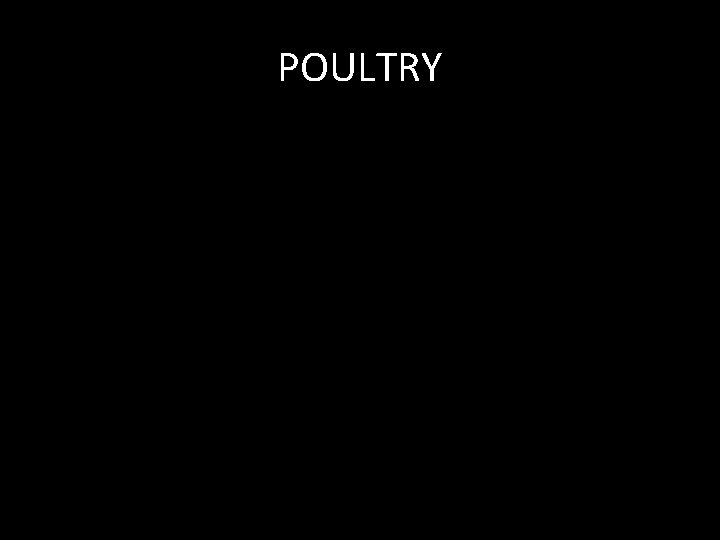 POULTRY 