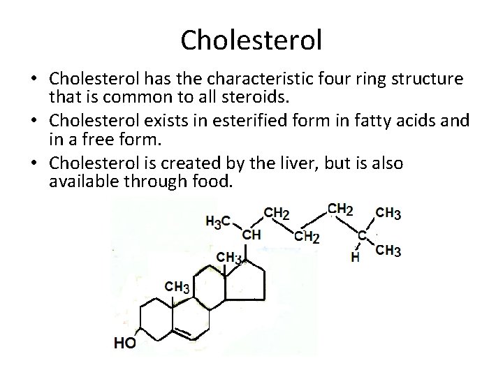 Cholesterol • Cholesterol has the characteristic four ring structure that is common to all