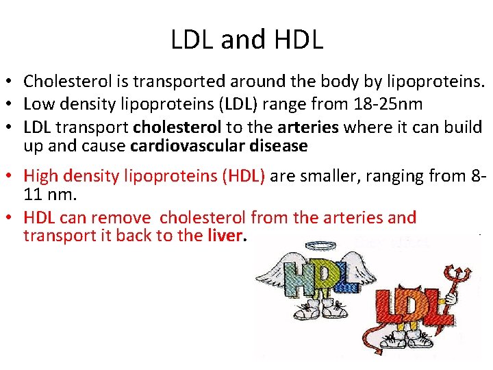 LDL and HDL • Cholesterol is transported around the body by lipoproteins. • Low