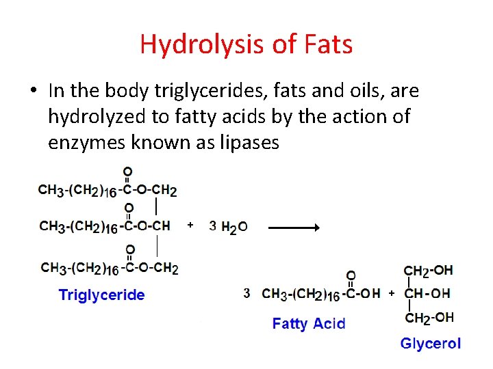 Hydrolysis of Fats • In the body triglycerides, fats and oils, are hydrolyzed to