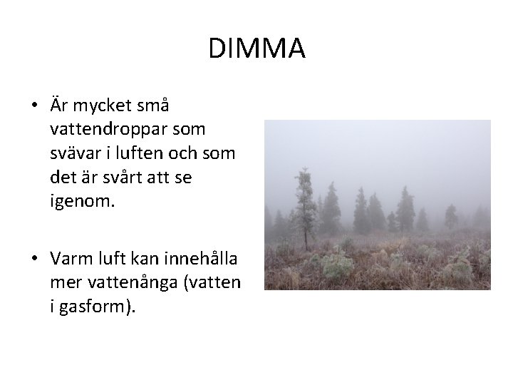 DIMMA • Är mycket små vattendroppar som svävar i luften och som det är