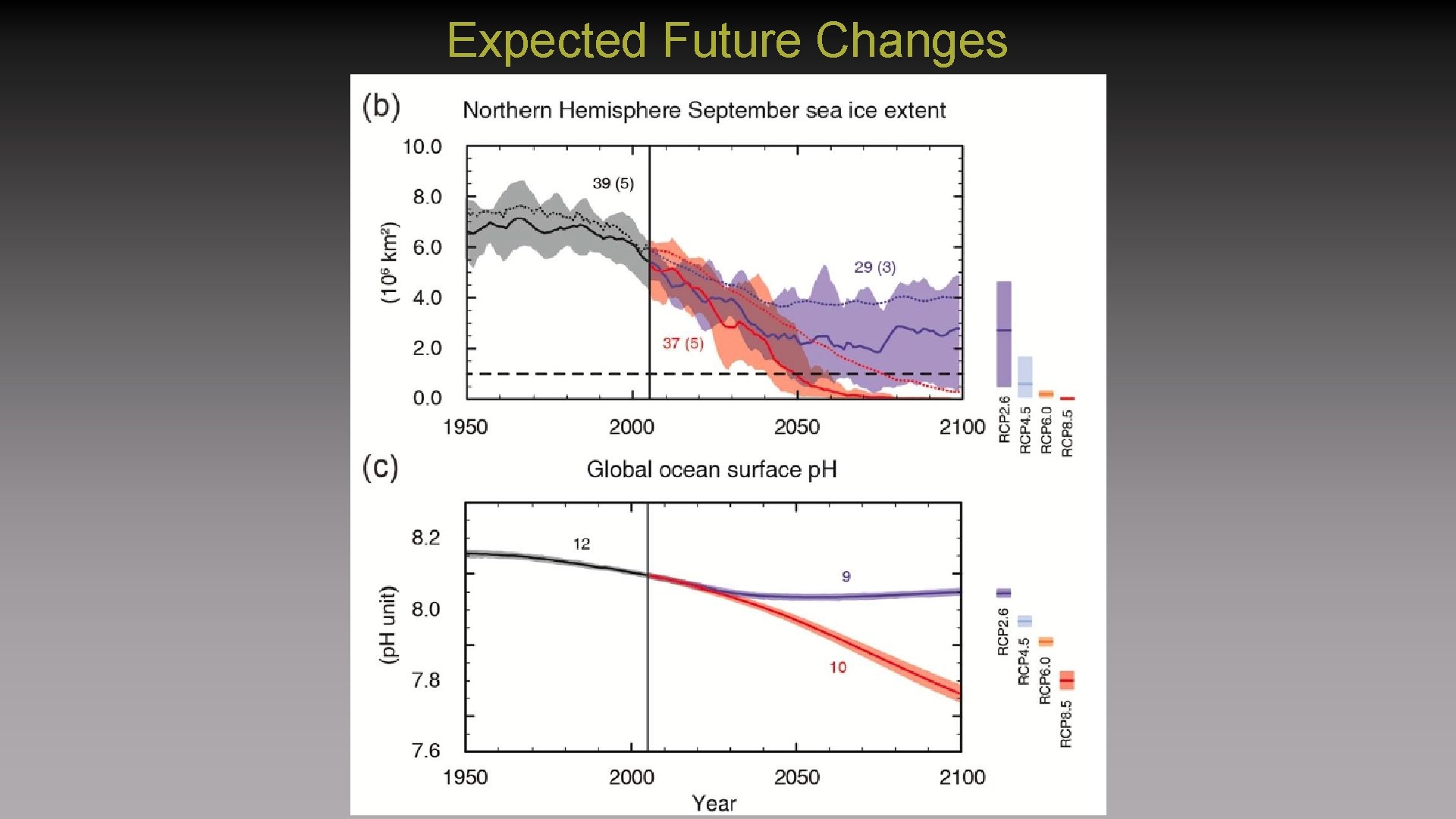 Expected Future Changes 