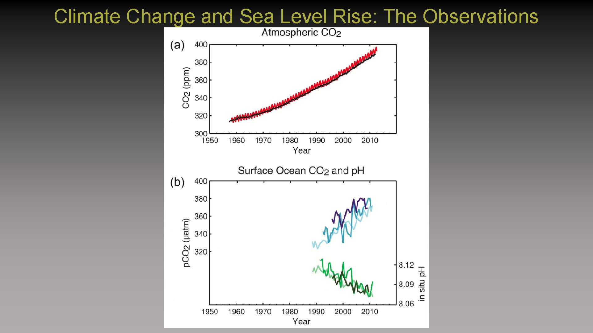 Climate Change and Sea Level Rise: The Observations 