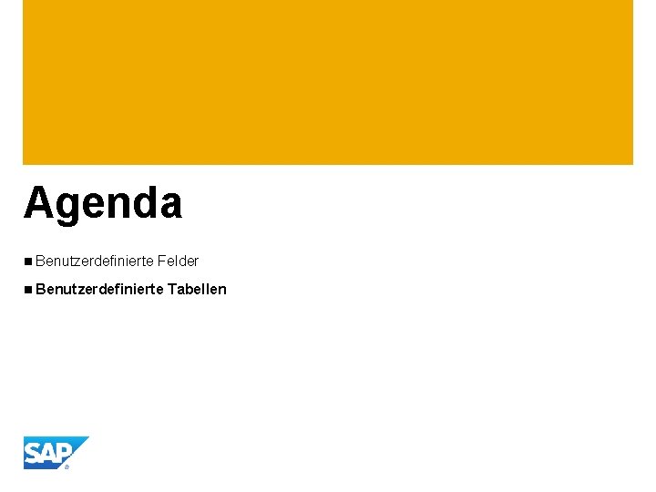 Agenda n Benutzerdefinierte Felder n Benutzerdefinierte Tabellen 