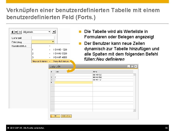 Verknüpfen einer benutzerdefinierten Tabelle mit einem benutzerdefinierten Feld (Forts. ) © 2013 SAP AG.