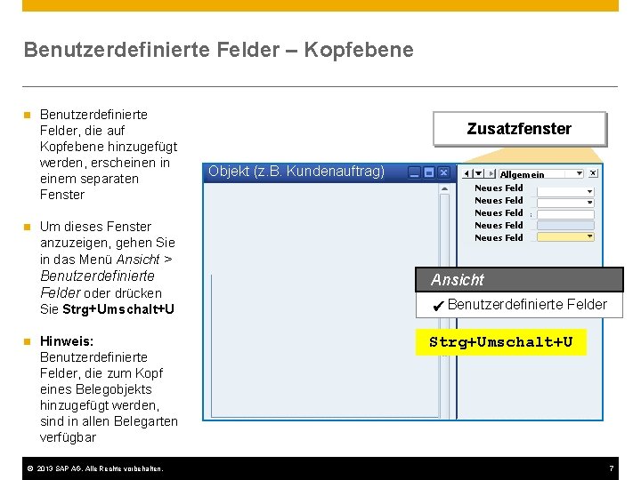 Benutzerdefinierte Felder – Kopfebene n n Benutzerdefinierte Felder, die auf Kopfebene hinzugefügt werden, erscheinen