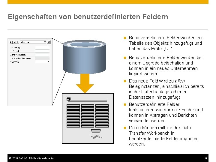 Eigenschaften von benutzerdefinierten Feldern © 2013 SAP AG. Alle Rechte vorbehalten. n Benutzerdefinierte Felder