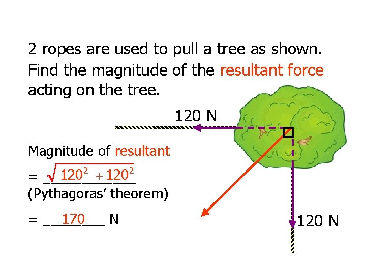 2 ropes are used to pull a tree as shown. Find the magnitude of
