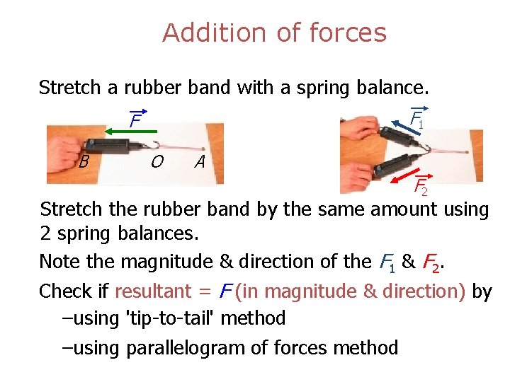 Addition of forces Stretch a rubber band with a spring balance. F 1 F