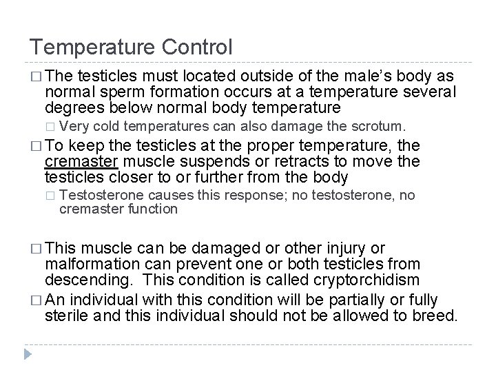 Temperature Control � The testicles must located outside of the male’s body as normal Temperature Control � The testicles must located outside of the male’s body as normal