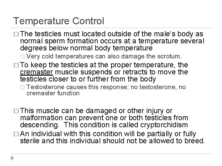 Temperature Control � The testicles must located outside of the male’s body as normal