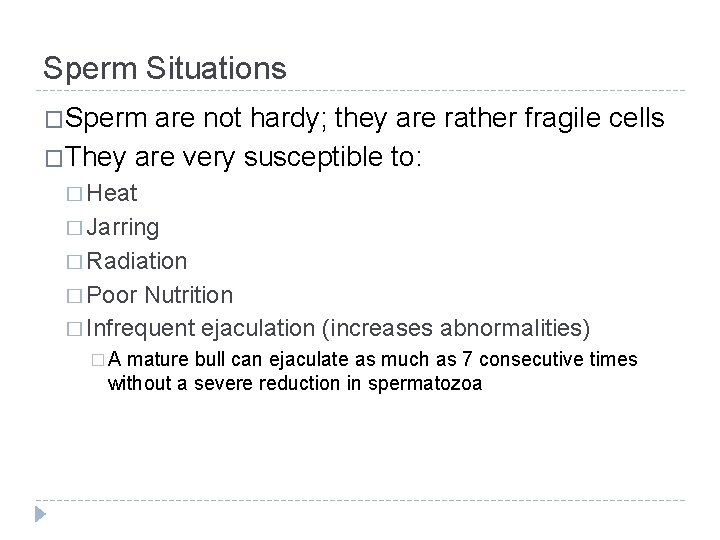 Sperm Situations �Sperm are not hardy; they are rather fragile cells �They are very Sperm Situations �Sperm are not hardy; they are rather fragile cells �They are very