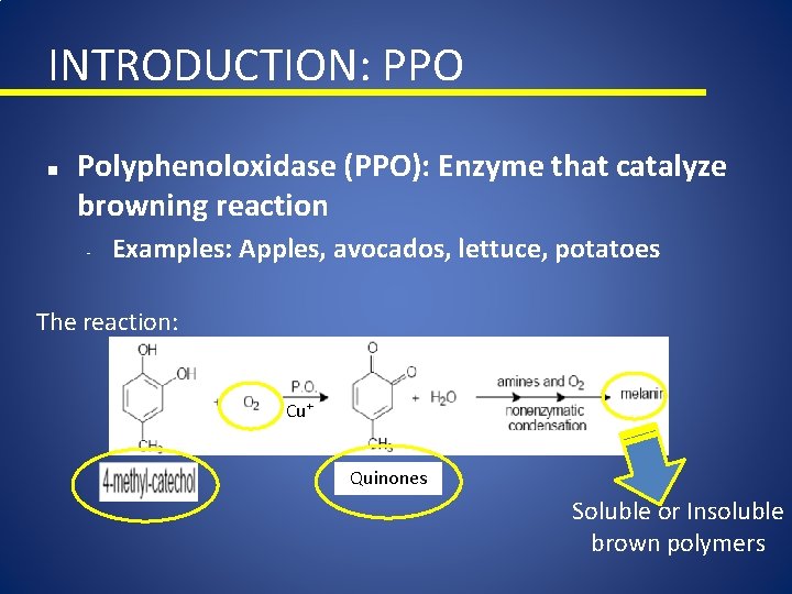 INTRODUCTION: PPO n Polyphenoloxidase (PPO): Enzyme that catalyze browning reaction - Examples: Apples, avocados,