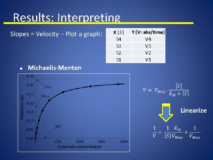 Results: Interpreting Slopes = Velocity – Plot a graph: n Y (V: abs/time) V