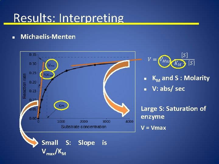 Results: Interpreting n Michaelis-Menten n n KM and S : Molarity V: abs/ sec