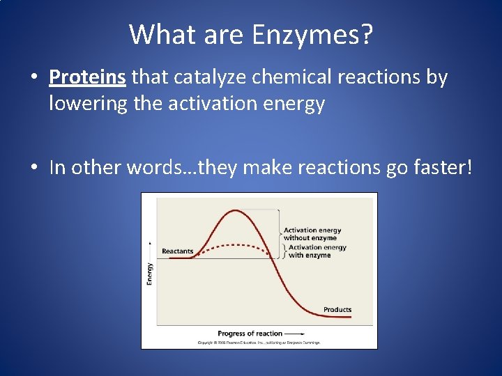 Enzymes in the Food Industry Food Chemistry Lab