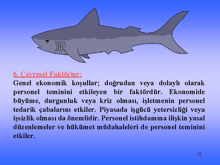 6. Çevresel Faktörler: Genel ekonomik koşullar; doğrudan veya dolaylı olarak personel teminini etkileyen bir