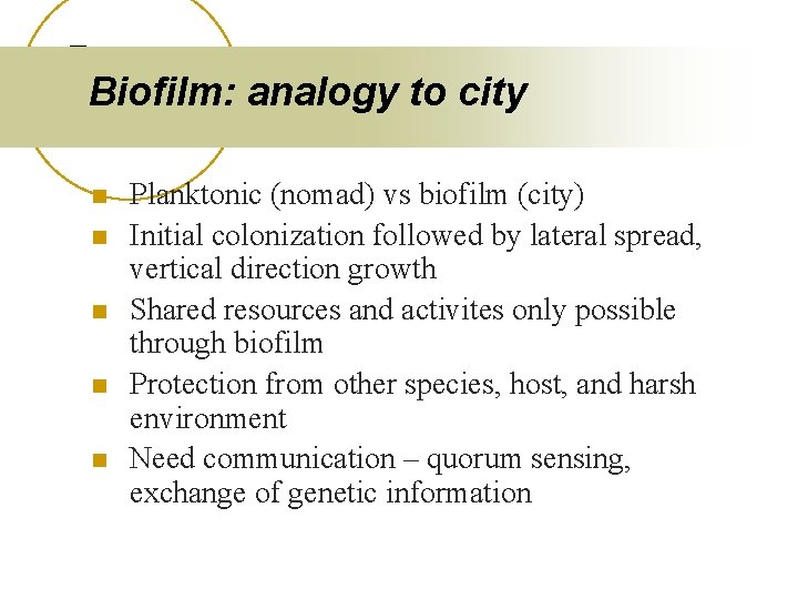 Biofilm: analogy to city n n n Planktonic (nomad) vs biofilm (city) Initial colonization