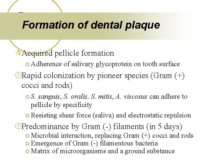 Formation of dental plaque ¶Acquired pellicle formation ¡ Adherence of salivary glycoprotein on tooth