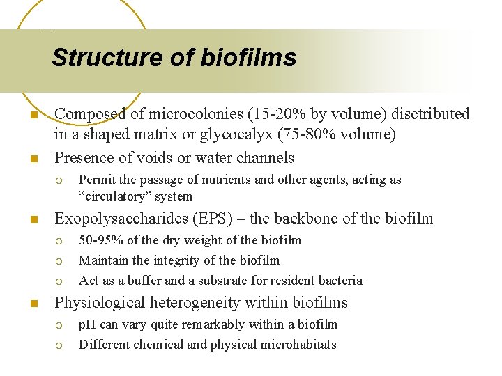 Structure of biofilms n n Composed of microcolonies (15 -20% by volume) disctributed in