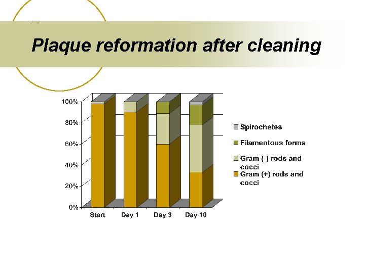 Plaque reformation after cleaning 