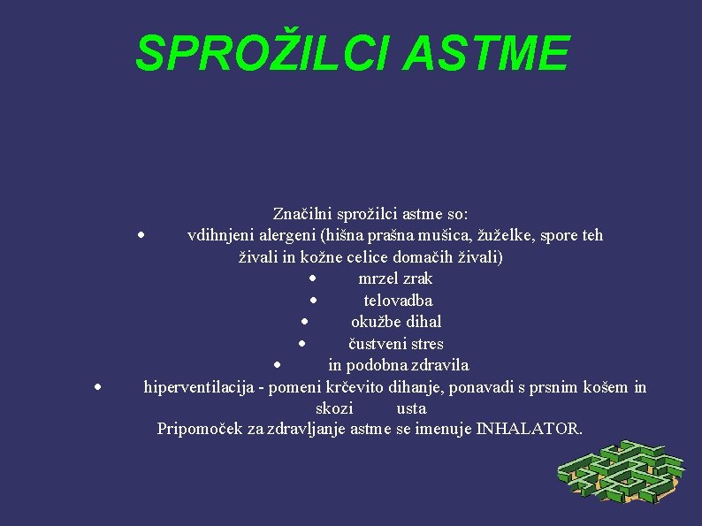 SPROŽILCI ASTME · Značilni sprožilci astme so: · vdihnjeni alergeni (hišna prašna mušica, žuželke,