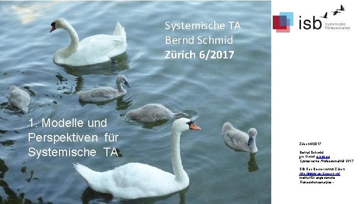 Mein aktueller Kontext. Systemische TA Bernd Schmid Zürich 6/2017 1. Modelle und Perspektiven für