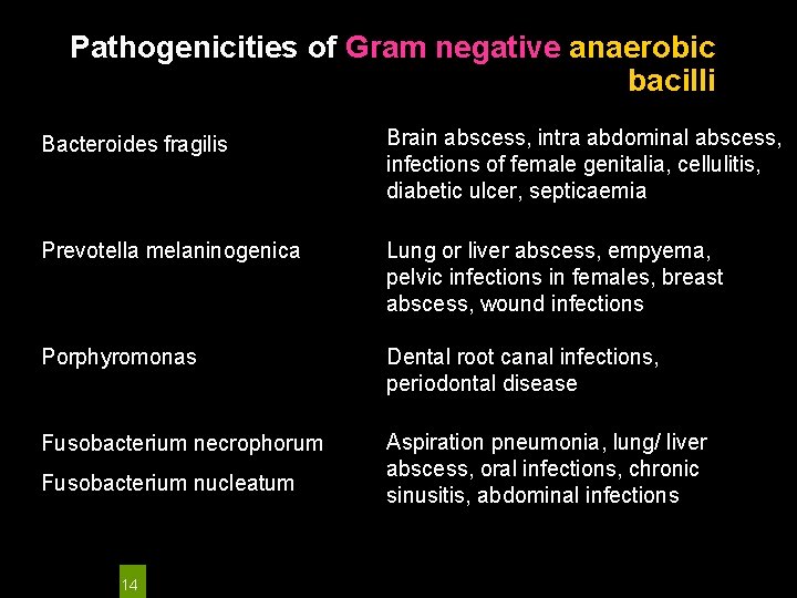 Pathogenicities of Gram negative anaerobic bacilli Bacteroides fragilis Brain abscess, intra abdominal abscess, infections