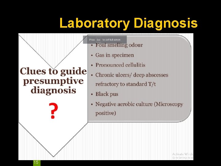 Laboratory Diagnosis 15 