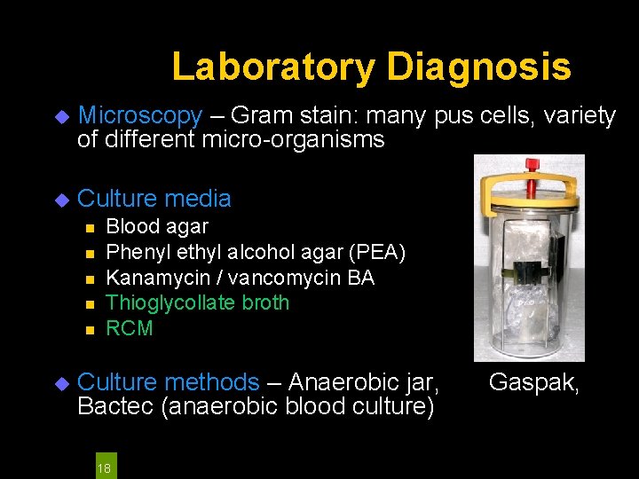 Laboratory Diagnosis u Microscopy – Gram stain: many pus cells, variety of different micro-organisms