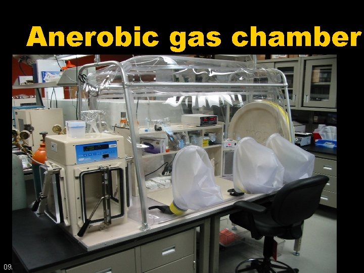 Anerobic gas chamber 09/03/2008 23 Dr Ekta Chourasia, Microbiology 