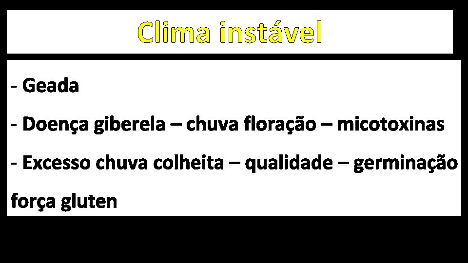 Clima instável - Geada - Doença giberela – chuva floração – micotoxinas - Excesso