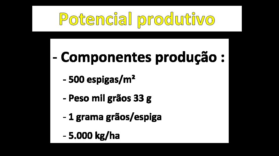 Potencial produtivo - Componentes produção : - 500 espigas/m² - Peso mil grãos 33