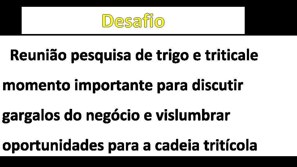 Desafio Reunião pesquisa de trigo e triticale momento importante para discutir gargalos do negócio