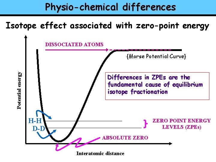 Physio-chemical differences Isotope effect associated with zero-point energy DISSOCIATED ATOMS Potential energy {Morse Potential