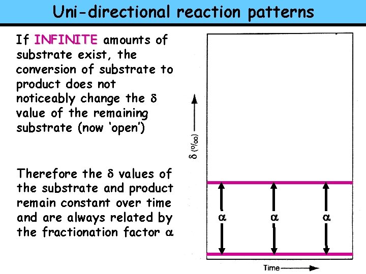 Uni-directional reaction patterns If INFINITE amounts of substrate exist, the conversion of substrate to