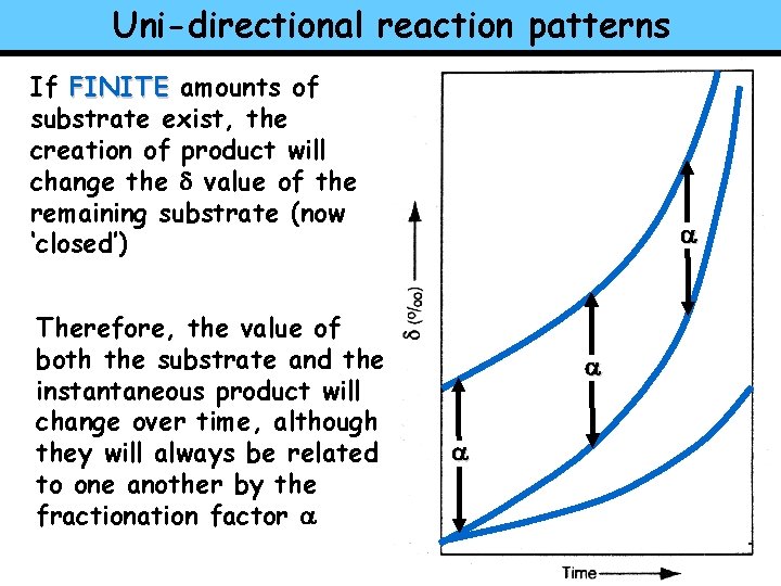 Uni-directional reaction patterns If FINITE amounts of substrate exist, the creation of product will