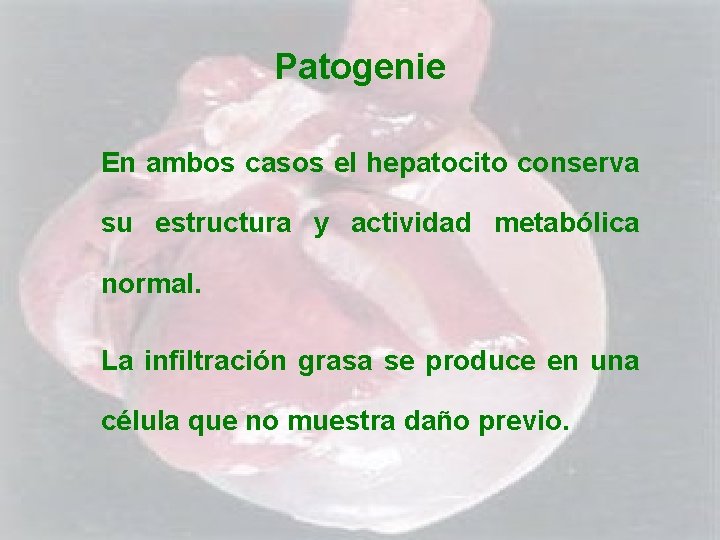 Patogenie En ambos casos el hepatocito conserva su estructura y actividad metabólica normal. La