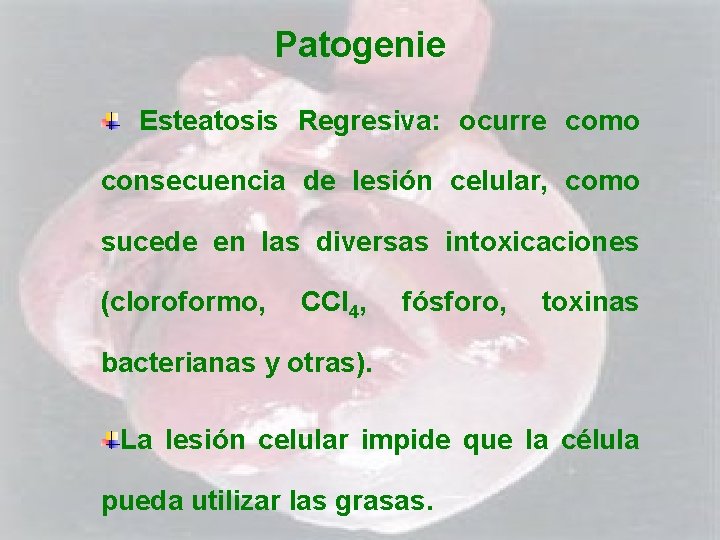 Patogenie Esteatosis Regresiva: ocurre como consecuencia de lesión celular, como sucede en las diversas