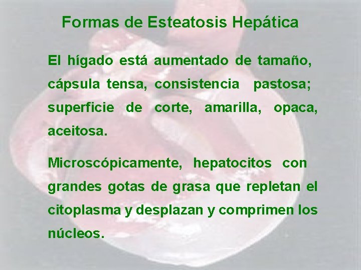 Formas de Esteatosis Hepática El hígado está aumentado de tamaño, cápsula tensa, consistencia pastosa;