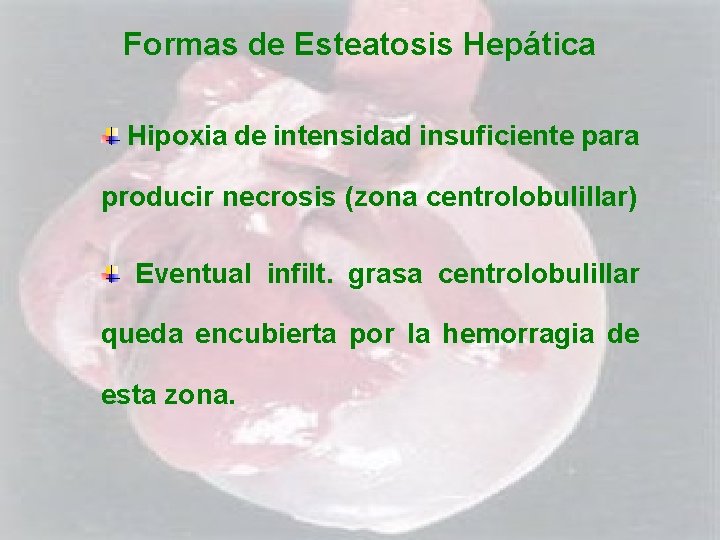 Formas de Esteatosis Hepática Hipoxia de intensidad insuficiente para producir necrosis (zona centrolobulillar) Eventual